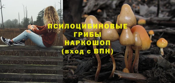 метадон Арсеньев