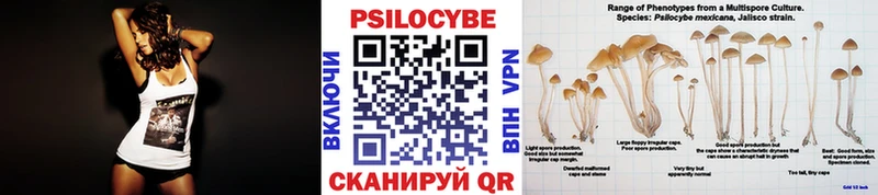 Псилоцибиновые грибы MAGIC MUSHROOMS  Ивдель 